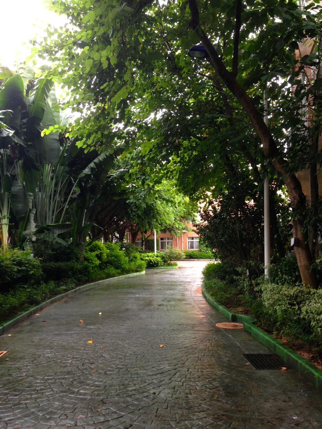 So I’m a Teacher&nbsp;Now?