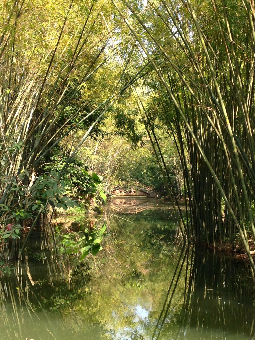 A Wee Pre-Holiday&nbsp;Post