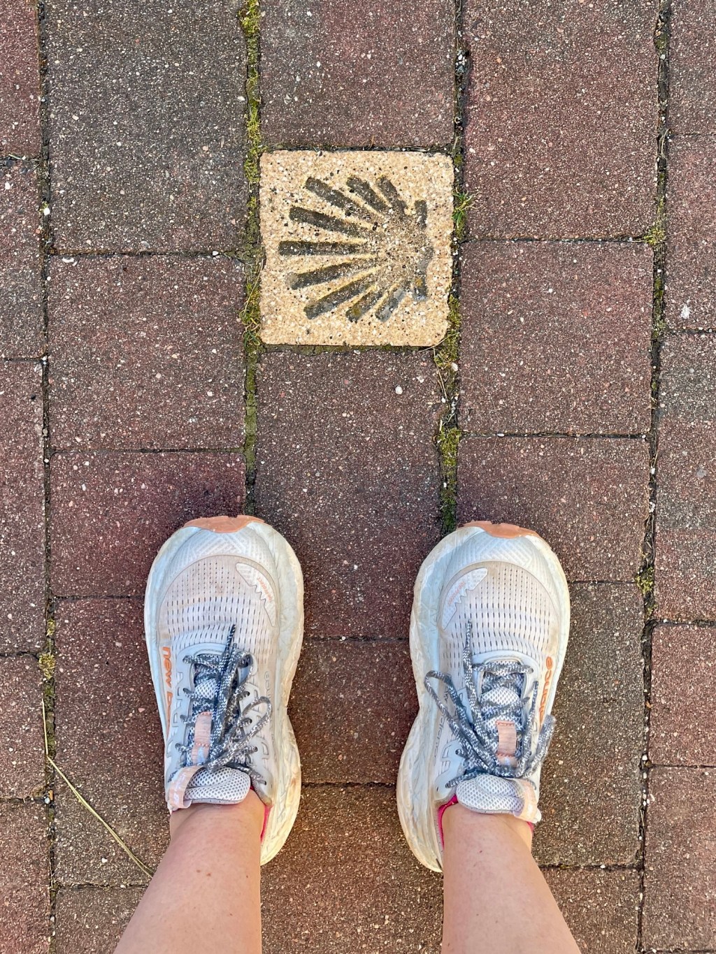 Etapa 2: Roncesvalles to&nbsp;Zubiri