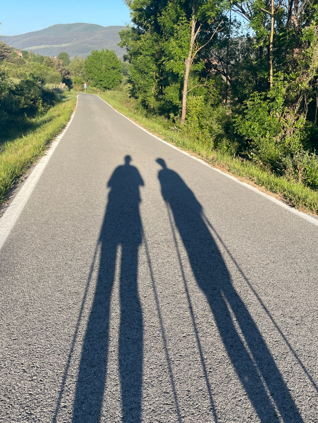 Etapa 3: Zubiri to&nbsp;Pamplona