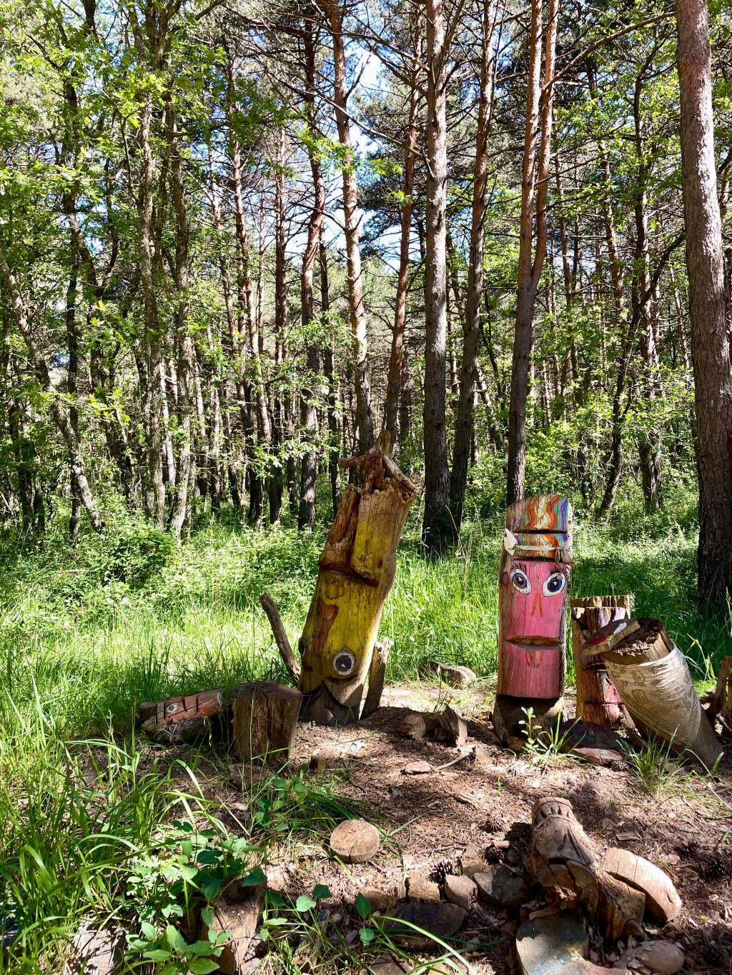 Etapa 12: Belorado to&nbsp;Agés