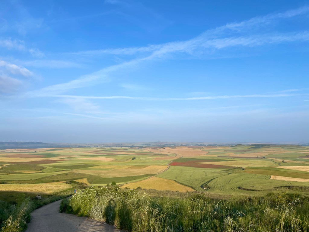 Etapa 16: Castrojeriz to Boadilla del&nbsp;Camino
