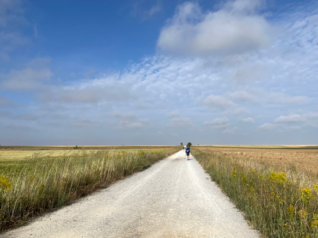 Etapa 18: Carrión to Terradillos de los&nbsp;Templarios