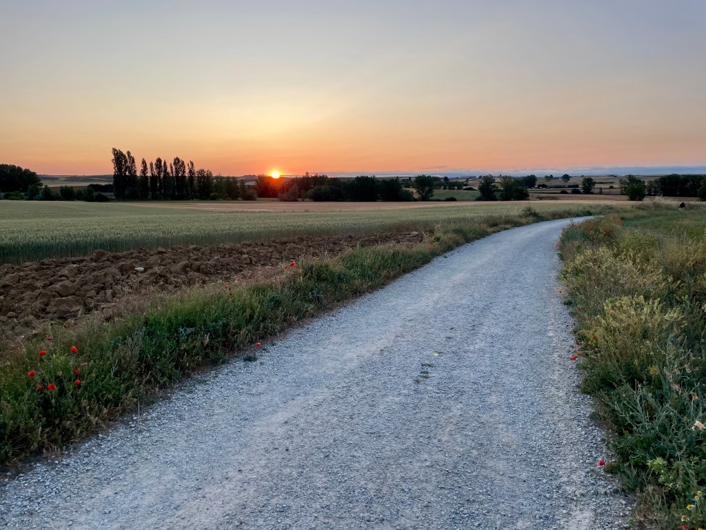 Etapa 19: Terradillos to Bercianos del Real&nbsp;Camino